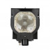 (TM APL) Лампа для проектора 003-120479-01