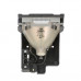 (TM APL) Лампа для проектора 003-120479-01