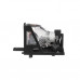 (TM CLM Economy) Лампа для проектора V13H010L25