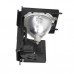 (OEM) Лампа для проектора RCA HD50LPW163