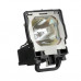 (OEM) Лампа для проектора 003-120338-01