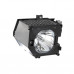 (TM APL) Лампа для проектора UX21516